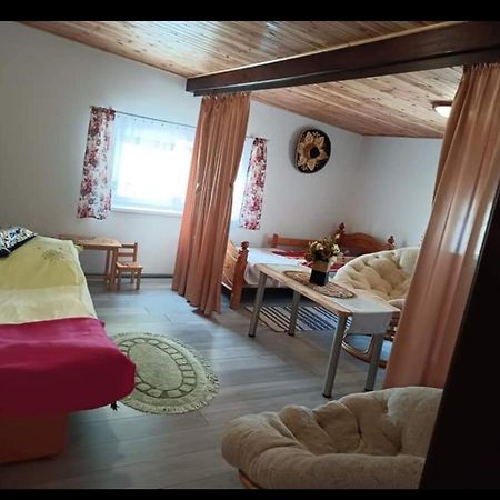 Wczasy Na Kaszubach U Hani Wiele Exterior foto