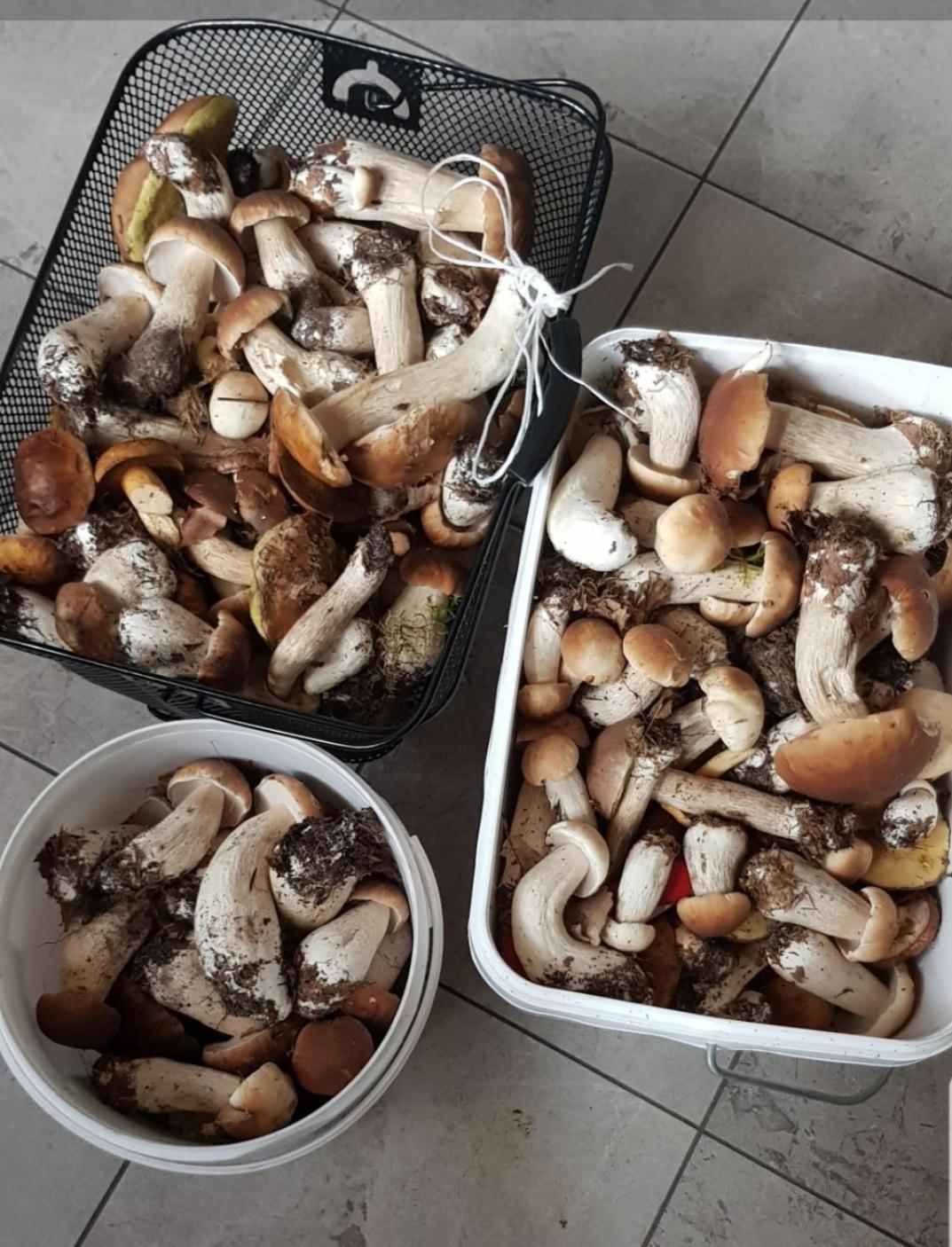 Wczasy Na Kaszubach U Hani Wiele Exterior foto