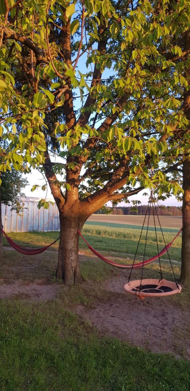 Wczasy Na Kaszubach U Hani Wiele Exterior foto